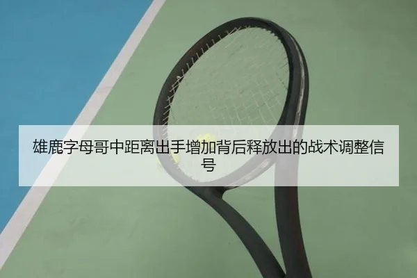 雄鹿字母哥中距离出手增加背后释放出的战术调整信号